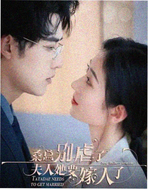 南巷有风 都市剧免费观看